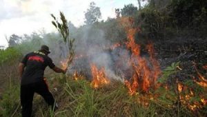 2 Titik Panas di Inhu, Sumatera Catat 46 Hotspot Pagi ini