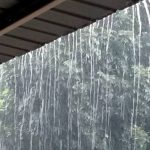 BMKG Pekanbaru Memprakirakan Cuaca di Provinsi Riau Berpotensi Hujan