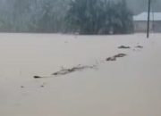 Banjir di permukiman warga di Korong Tanah Taban, Nagari Pasie Laweh, Kecamatan Lubuk Alung, Kabupaten Padang Pariaman