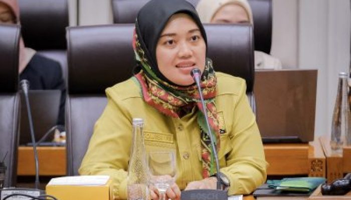DPR Dukung Bali Cek Rekening Wisatawan Asing, Dorong Berlaku Nasional