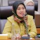 Wakil Ketua Komisi VII DPR RI, Chusnunia Chalim.