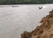 sungai subayang berstatus siaga.