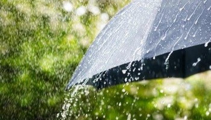 BMKG Pekanbaru: Hujan Ringan hingga Lebat Masih Berpotensi Guyur Riau