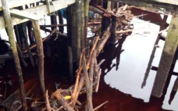 Limbah Kayu Cemari Sungai Bukit Batu, Duta Green Policing Dorong Mediasi Berbasis Keadilan Ekologis