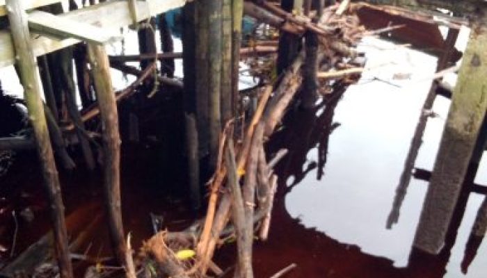 Limbah Kayu Cemari Sungai Bukit Batu, Duta Green Policing Dorong Mediasi Berbasis Keadilan Ekologis