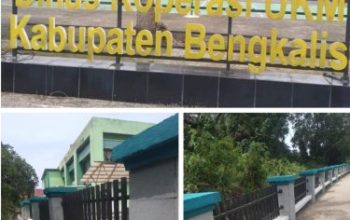Tak Ada Papan Nama Kegiatan, Proyek Pagar Dinas Koperasi Bengkalis Disorot Publik