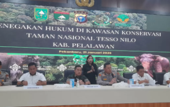 Perusakan dan Perambahan TNTN Dibongkar, Aparat Tetapkan 9 Tersangka
