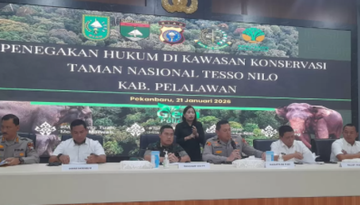 Perusakan dan Perambahan TNTN Dibongkar, Aparat Tetapkan 9 Tersangka