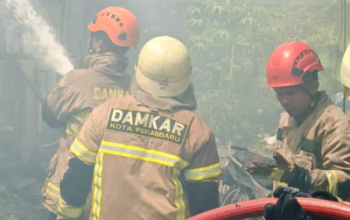 Kebakaran Hebat di Sukajadi Pekanbaru, Enam Armada Damkar Dikerahkan