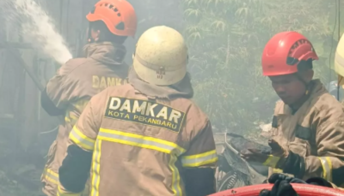 Kebakaran Hebat di Sukajadi Pekanbaru, Enam Armada Damkar Dikerahkan