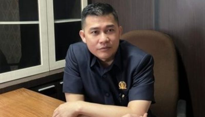 Tak Hanya Ritel Modern, DPRD Usul Parkir Rumah Sakit di Pekanbaru Gratis