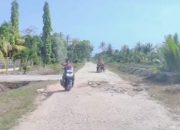 Puluhan Tahun Tak Diperbaiki, Jalan Poros Kecamatan Bantan Kian Memprihatinkan