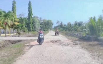 Puluhan Tahun Tak Diperbaiki, Jalan Poros Kecamatan Bantan Kian Memprihatinkan