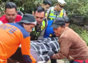 Hilang Kendali di Tikungan Kelok 9, Mobil Box Asal Pekanbaru Terjun ke Jurang