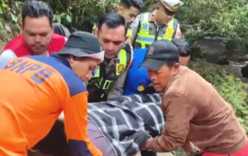 Hilang Kendali di Tikungan Kelok 9, Mobil Box Asal Pekanbaru Terjun ke Jurang