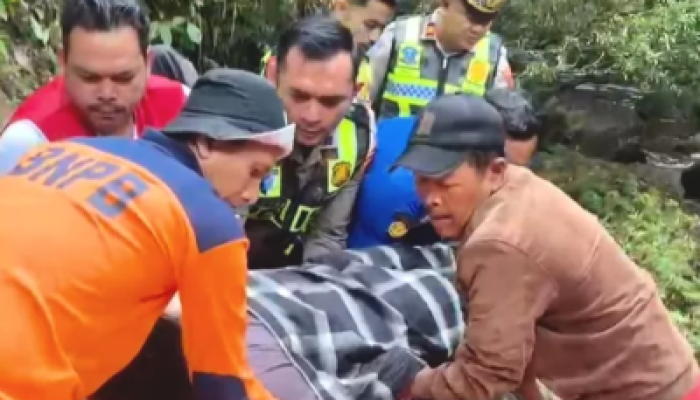 Hilang Kendali di Tikungan Kelok 9, Mobil Box Asal Pekanbaru Terjun ke Jurang