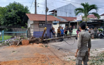 Tiang FO Tumbang Belasan Jam, Pemko Pekanbaru Turunkan Tim Gabungan