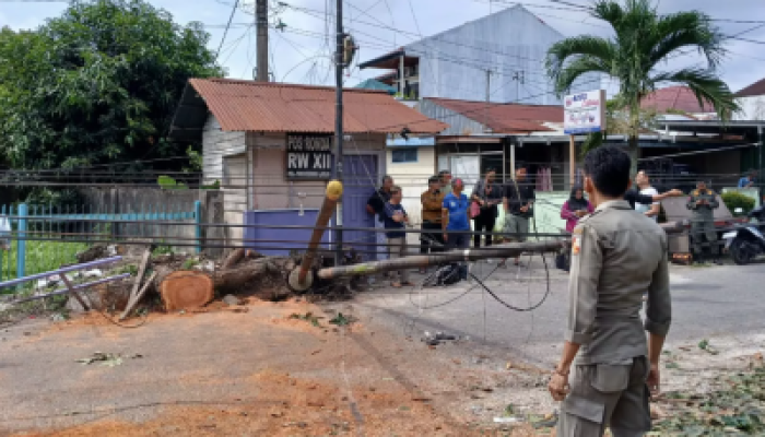 Tiang FO Tumbang Belasan Jam, Pemko Pekanbaru Turunkan Tim Gabungan