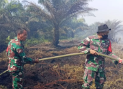 Hari Pertama Penanganan Karhutla, Api di Rantau Bais Berhasil Dikendalikan