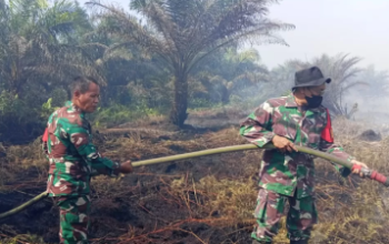 Hari Pertama Penanganan Karhutla, Api di Rantau Bais Berhasil Dikendalikan