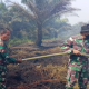 Hari Pertama Penanganan Karhutla, Api di Rantau Bais Berhasil Dikendalikan