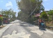 Akses ke Pelabuhan Internasional Selatbaru Rusak Berat, Warga Desak Perbaikan