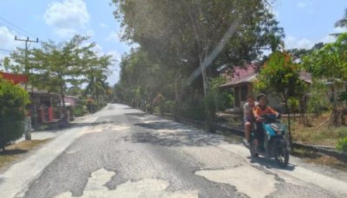 Akses ke Pelabuhan Internasional Selatbaru Rusak Berat, Warga Desak Perbaikan