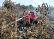 Karhutla Masih Muncul di Riau, BPBD Tambah Personel Gabungan