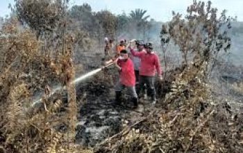 Karhutla Masih Muncul di Riau, BPBD Tambah Personel Gabungan