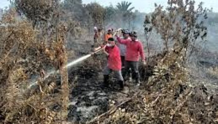 Karhutla Masih Muncul di Riau, BPBD Tambah Personel Gabungan