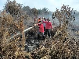 Karhutla Masih Muncul di Riau, BPBD Tambah Personel Gabungan