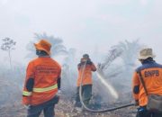 Karhutla Masih Terjadi di Lima Wilayah Riau, BPBD Minta Daerah Tetapkan Status Darurat