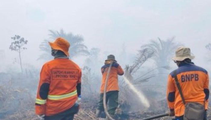 Karhutla Masih Terjadi di Lima Wilayah Riau, BPBD Minta Daerah Tetapkan Status Darurat