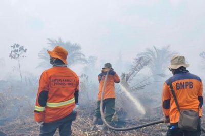 Karhutla Masih Terjadi di Lima Wilayah Riau, BPBD Minta Daerah Tetapkan Status Darurat