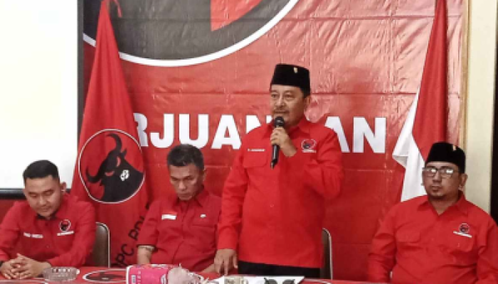 Perkuat Struktur Partai, PDI Perjuangan Riau Lakukan Pemantauan Kaderisasi PAC