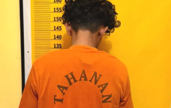 Ketahuan Panen Sawit Milik Warga, R Diamankan Polsek Logas Tanah Darat