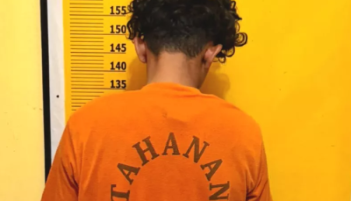 Ketahuan Panen Sawit Milik Warga, R Diamankan Polsek Logas Tanah Darat