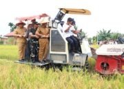 Kunjungan Wamentan ke Riau, Fokuskan Dukungan untuk Petani dan Infrastruktur Pertanian