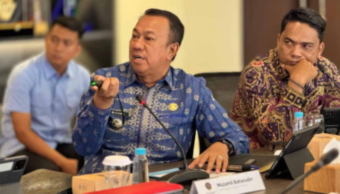 Wabup Meranti Audiensi ke Kemenhub, Dorong Percepatan Pelabuhan dan Jembatan Strategis