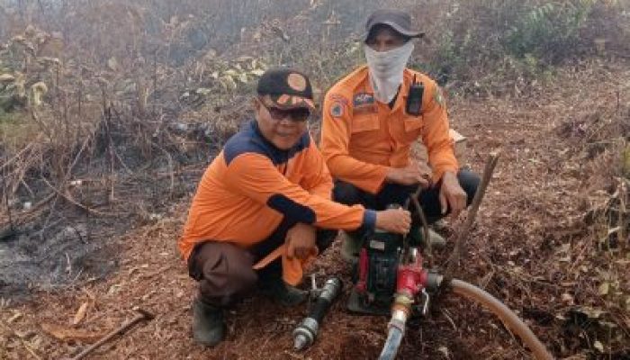 Karhutla Bengkalis Meluas, BPBD Catat 110 Hektare Lahan Terbakar Sejak Januari