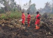 Balai Dalkarhut Wilayah Sumatera Tangani Kebakaran di Belasan Lokasi di Riau