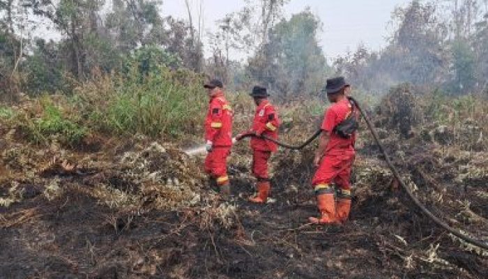 Balai Dalkarhut Wilayah Sumatera Tangani Kebakaran di Belasan Lokasi di Riau