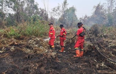 Balai Dalkarhut Wilayah Sumatera Tangani Kebakaran di Belasan Lokasi di Riau