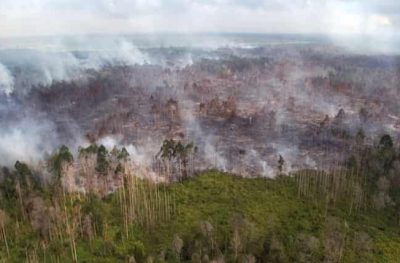 Hujan Redam Karhutla, Jumlah Hotspot di Riau Turun Signifikan