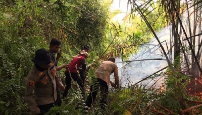Laporan Masuk ke 110, Api Lahan di Kepulauan Meranti Langsung Ditangani