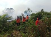 Karhutla Kepung Riau, Bengkalis dan Pelalawan Masih Dalam Penanganan Intensif