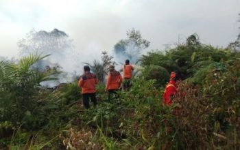 Karhutla Kepung Riau, Bengkalis dan Pelalawan Masih Dalam Penanganan Intensif
