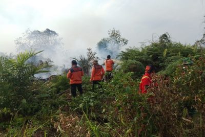 Karhutla Kepung Riau, Bengkalis dan Pelalawan Masih Dalam Penanganan Intensif