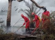 Hotspot di Riau Anjlok Drastis, Bengkalis Masih Dominan