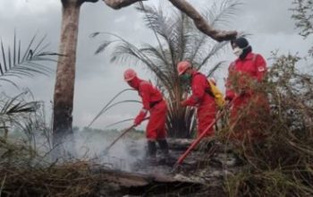 Hotspot di Riau Anjlok Drastis, Bengkalis Masih Dominan